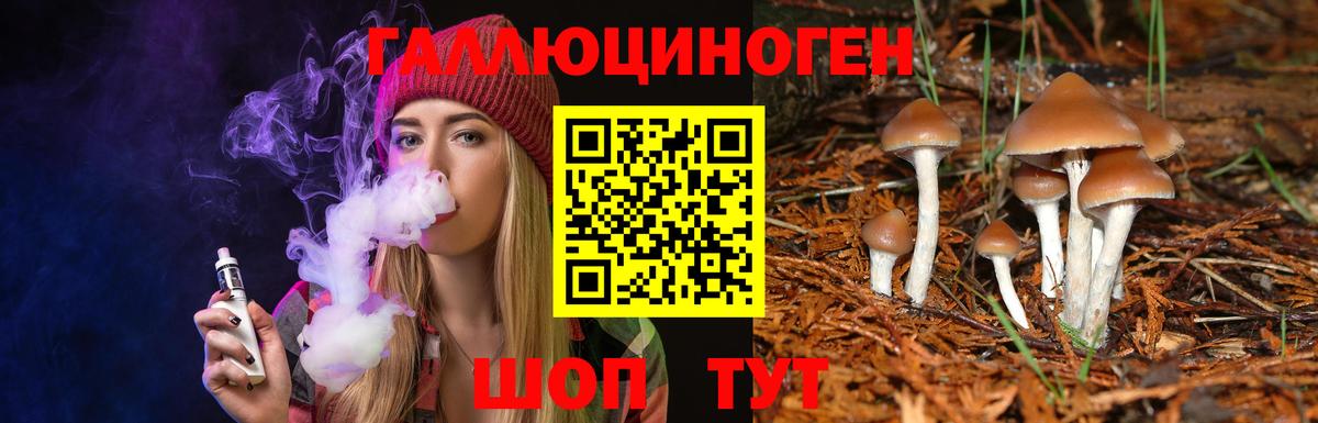 Галлюциногенные грибы Magic Shrooms Рязань